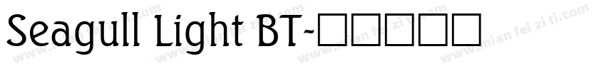 Seagull Light BT字体转换